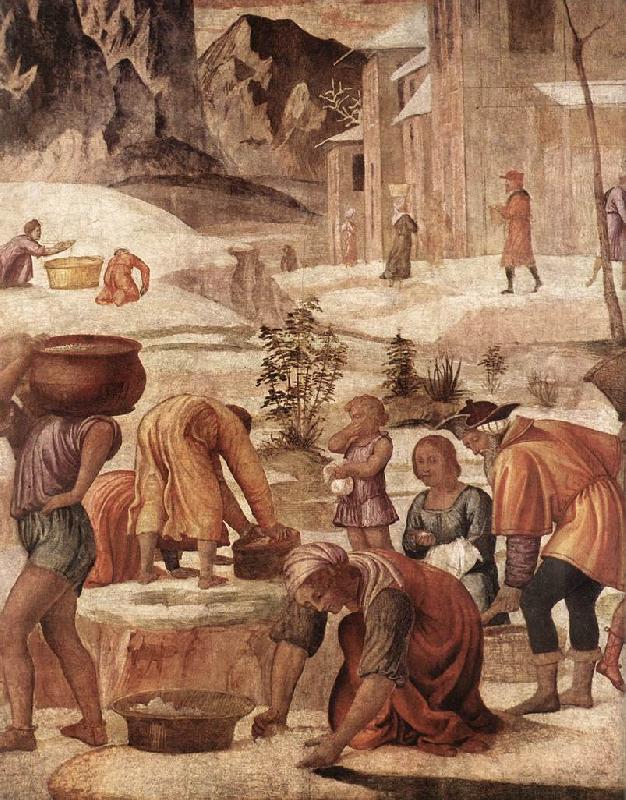 LUINI, Bernardino The Gathering of the Manna s